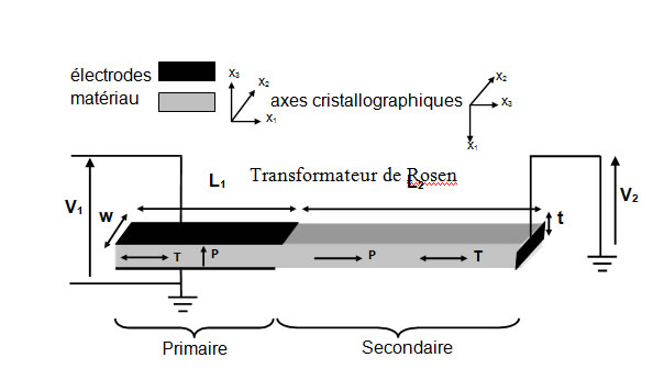 Corrosion, protection and durability of materials division