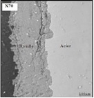 Corrosion, protection and durability of materials division