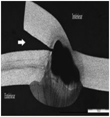 Corrosion, protection and durability of materials division