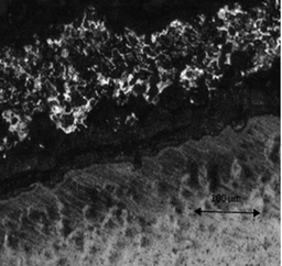 Corrosion, protection and durability of materials division