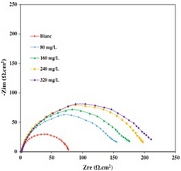 Corrosion, protection and durability of materials division