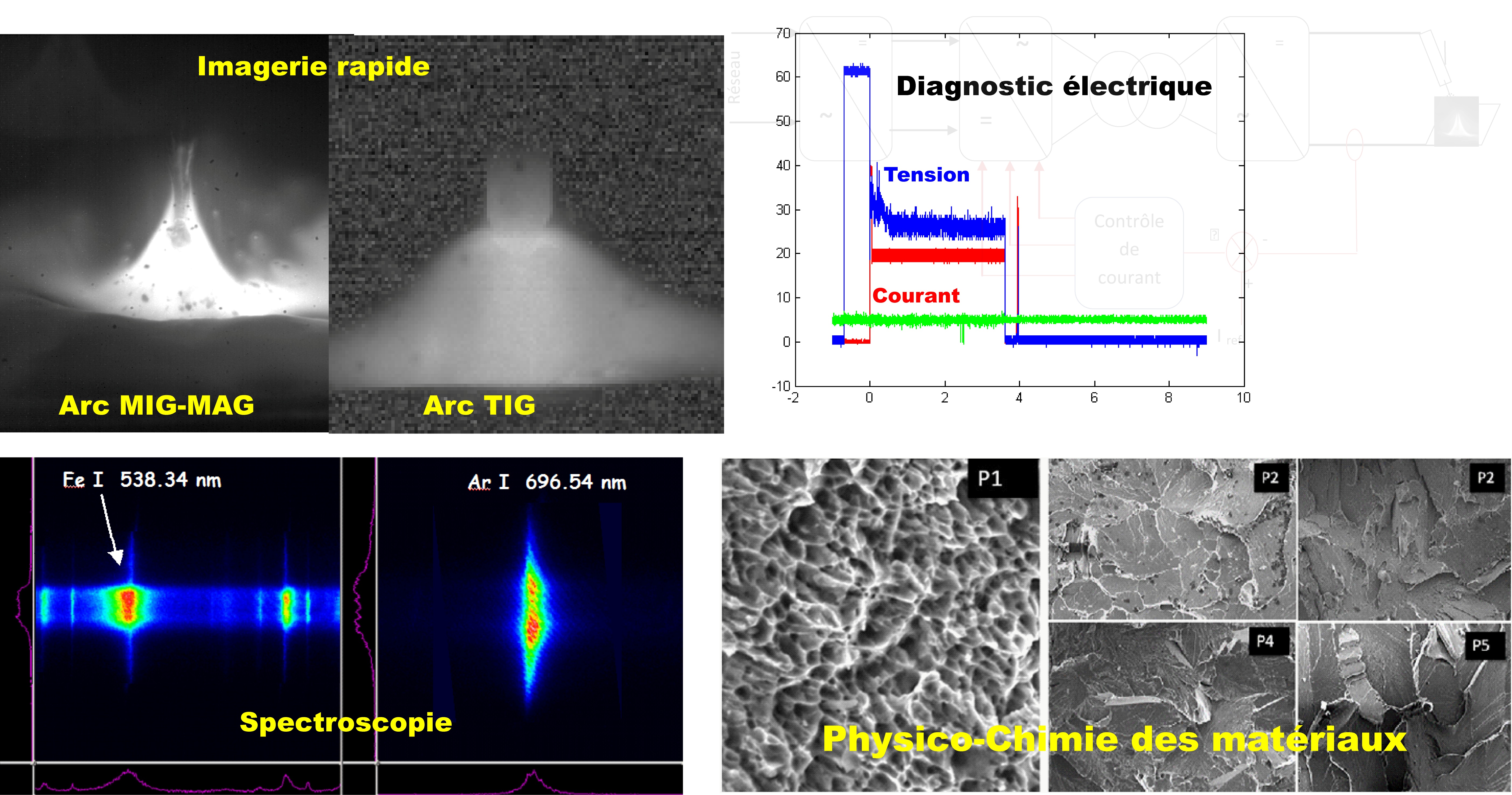 Corrosion, protection and durability of materials division