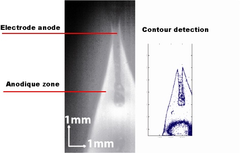 Corrosion, protection and durability of materials division