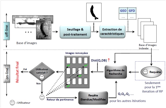 Corrosion, protection and durability of materials division