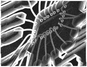 Corrosion, protection and durability of materials division